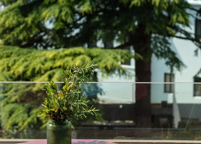 Baumhaus Serviced Living - Art & Design Apartamento Porto