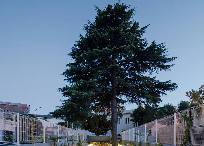 Baumhaus Serviced Living - Art & Design